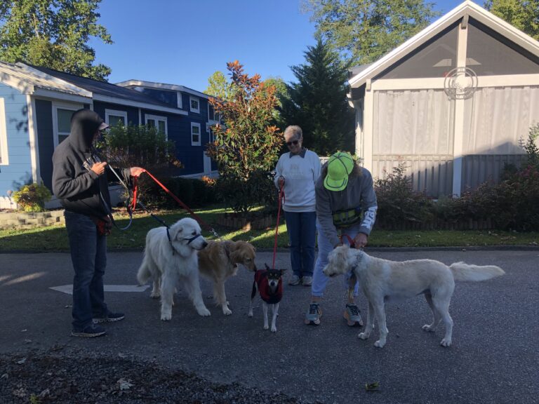 Greeting our neighbors